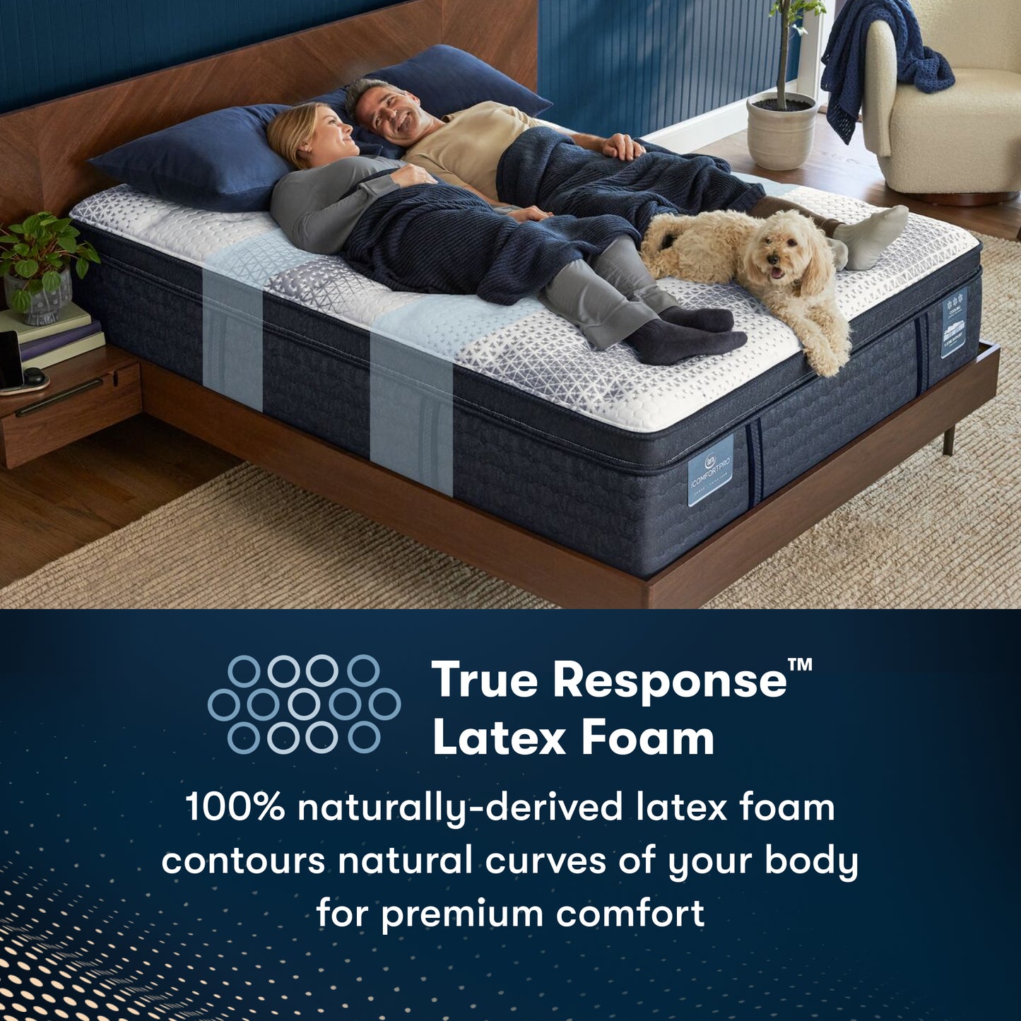 Serta iComfort Pro Ambrose Plush