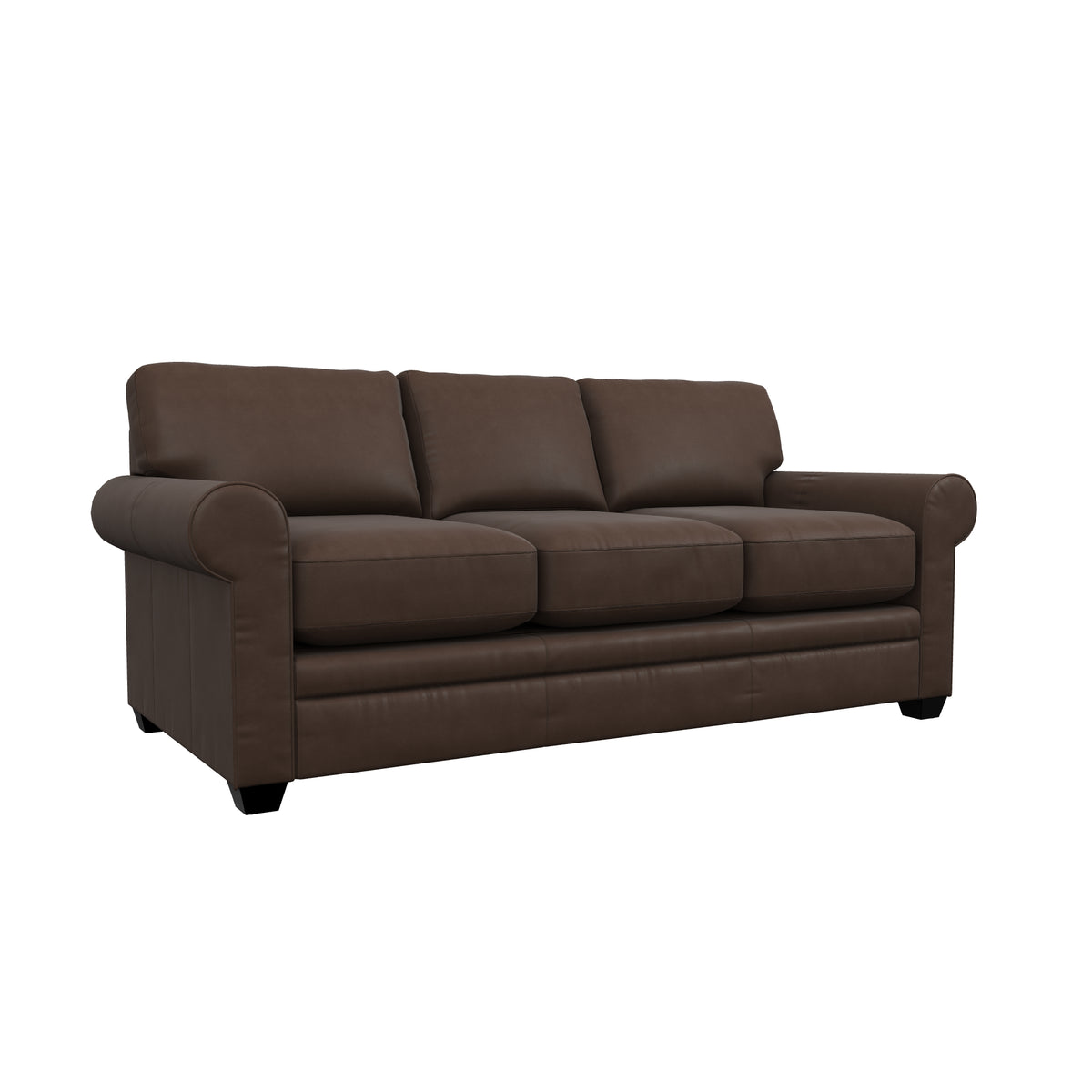 Olson Queen Sleeper Leather